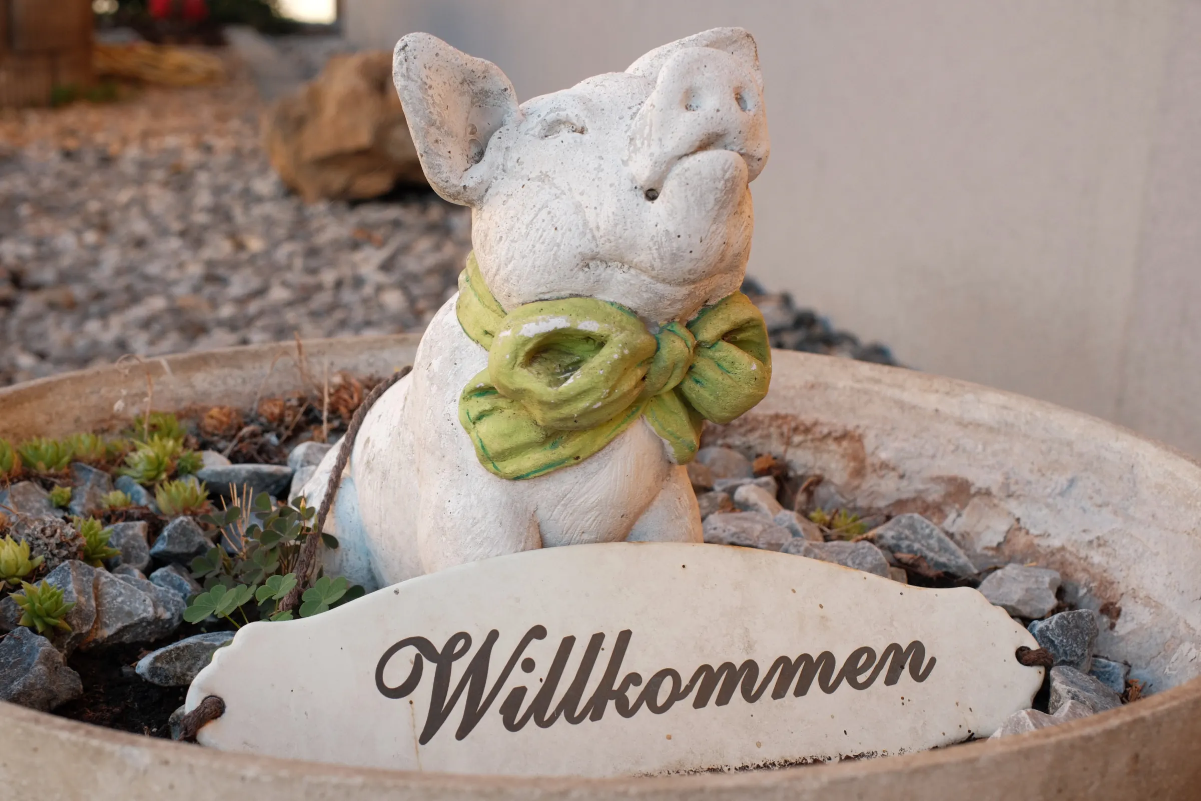 Willkommensschwein beim Eingang des Hofladens Lackner